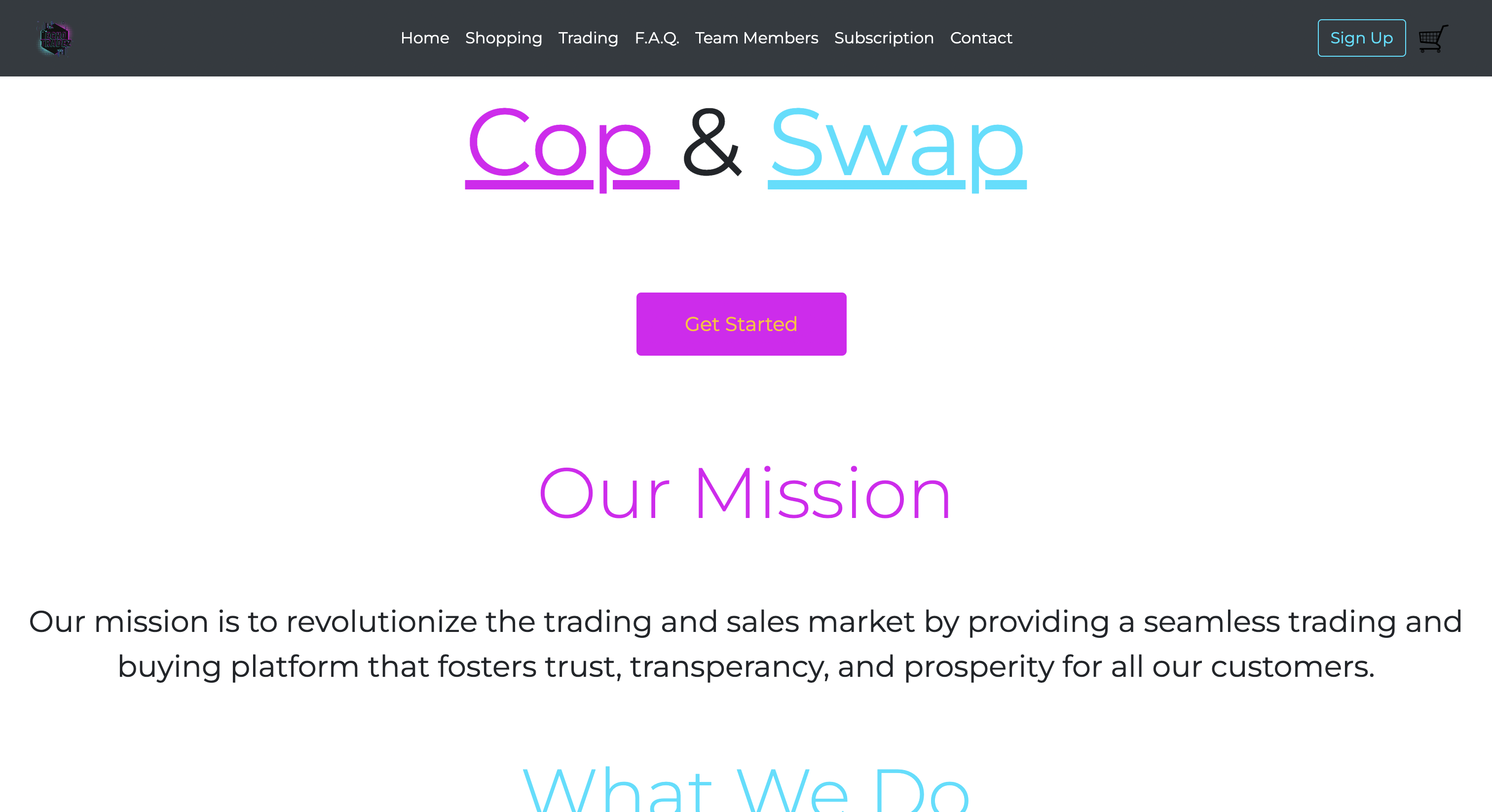 A group made website on a trading and online shop